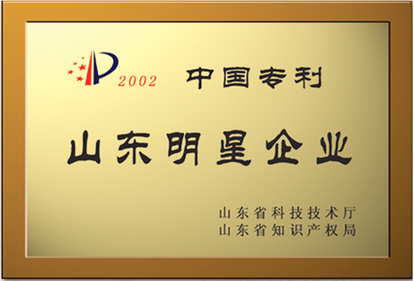 山东明星企业