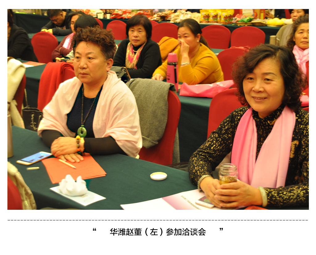 洽谈会2.jpg